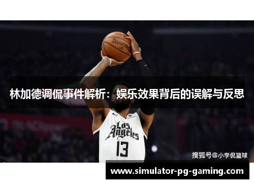 林加德调侃事件解析：娱乐效果背后的误解与反思