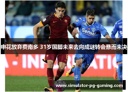 申花放弃费南多 31岁国脚未来去向成谜转会悬而未决 申花放弃费南多 31岁国脚未来去向成谜转会悬而未决