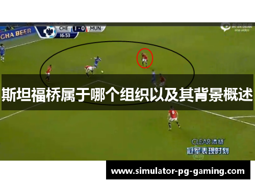 斯坦福桥属于哪个组织以及其背景概述